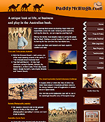 paddy mchugh website